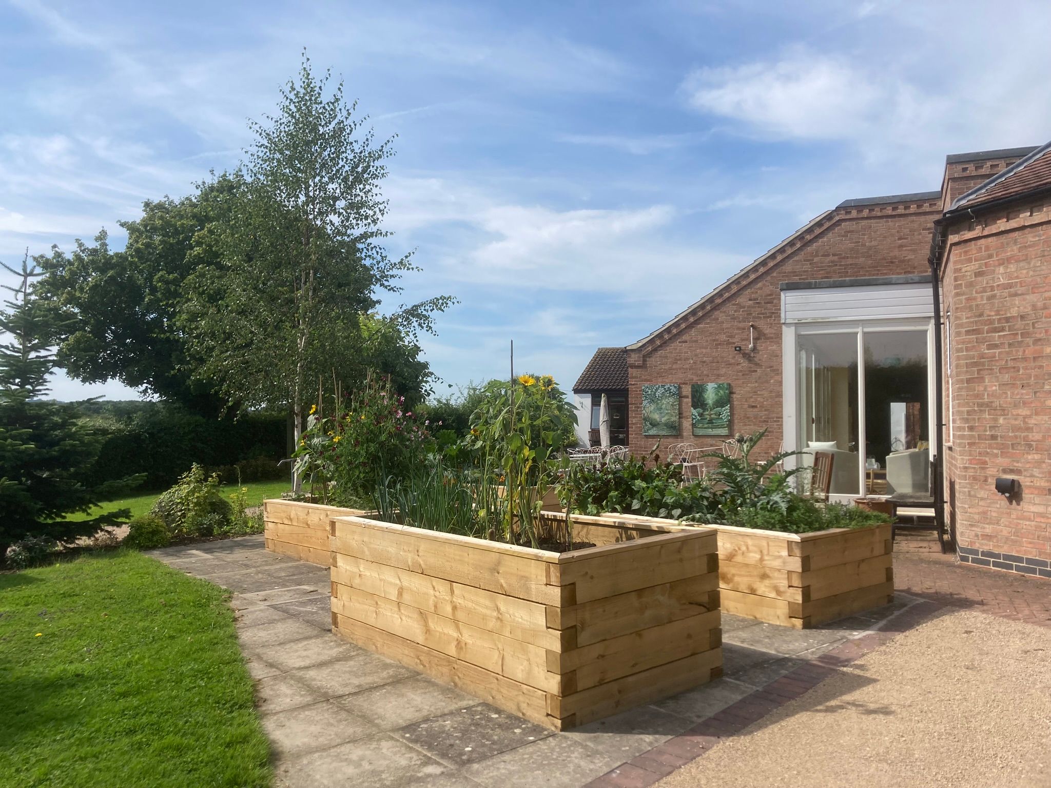 Raised vegetable beds