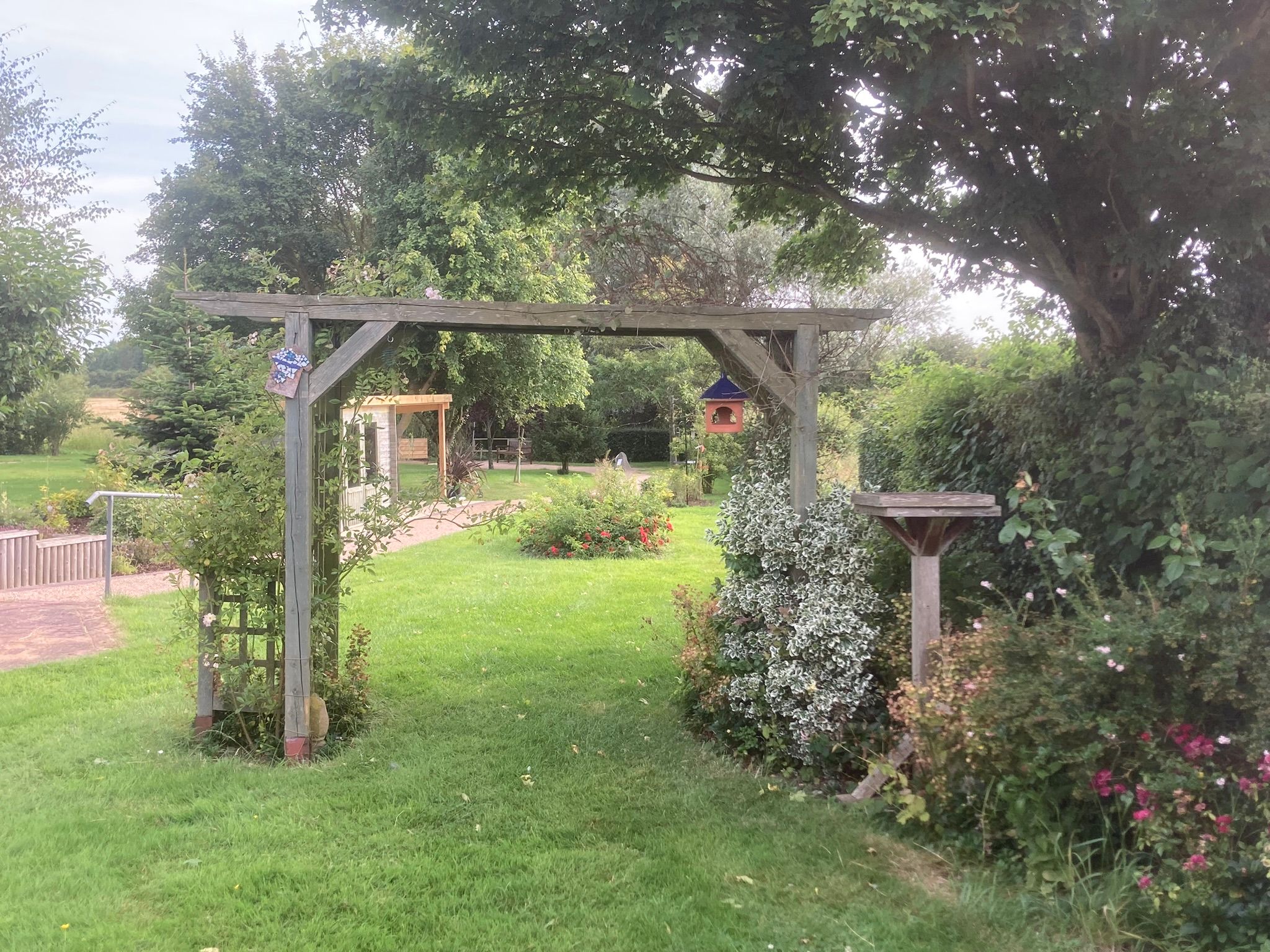 garden with pergola feature